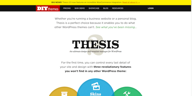 DIYthemes