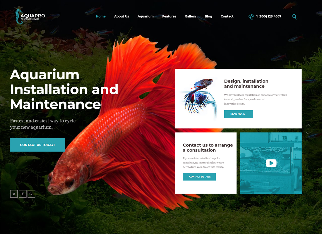 aquapro-aquarium-services-online-store