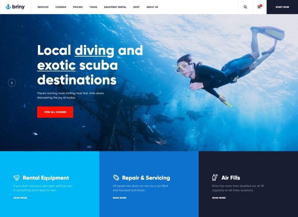 鹽水 |水肺潛水學校和水上運動 WordPress 主題 + RTL