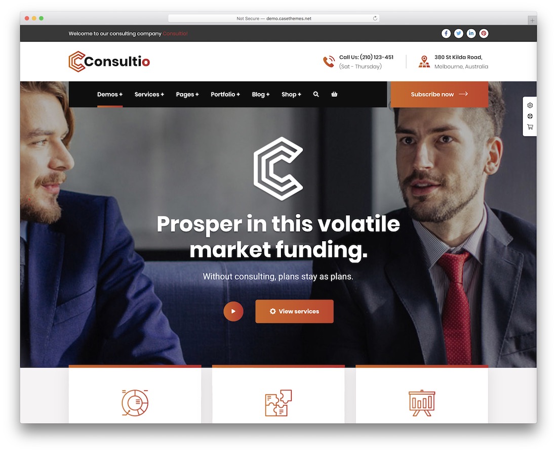 consultio consulenza tema wordpress