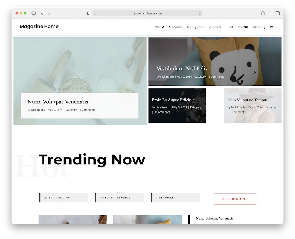 divi wordpress eğlence teması