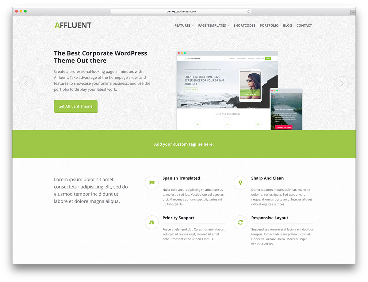 riche-lumière-wordpress-website-theme