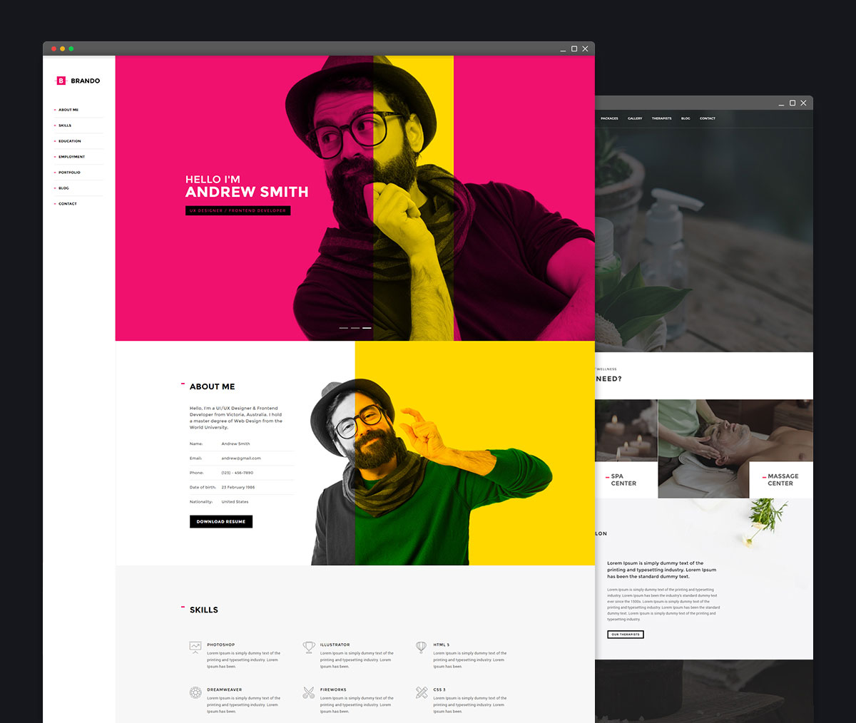 brando-top-10-most-popular-wordpress-themes