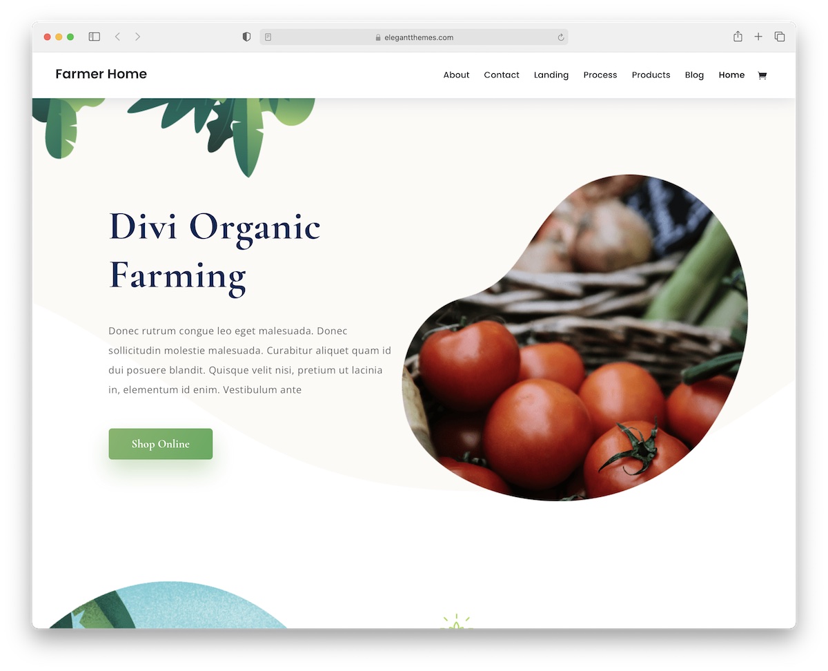 тема WordPress для фермеров divi