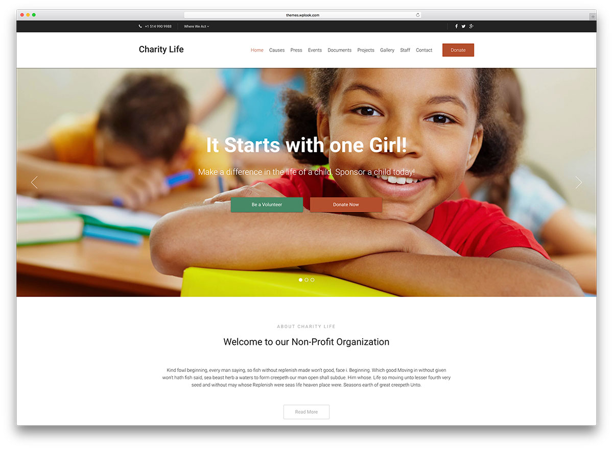 template Charity WP amallife-minimal