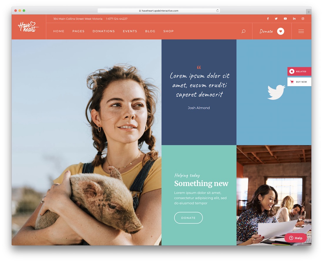 tema wordpress crowdfunding haveheart
