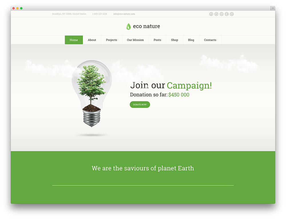 eco nature charity shop theme