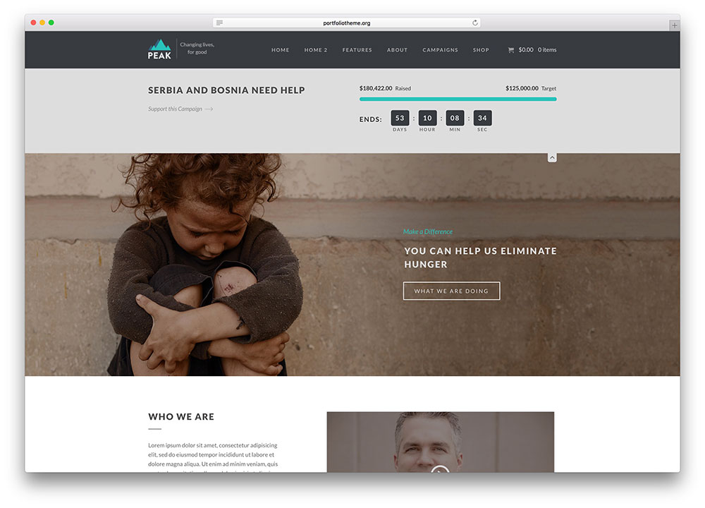 puncak-minimal-charity-wordpress-tema
