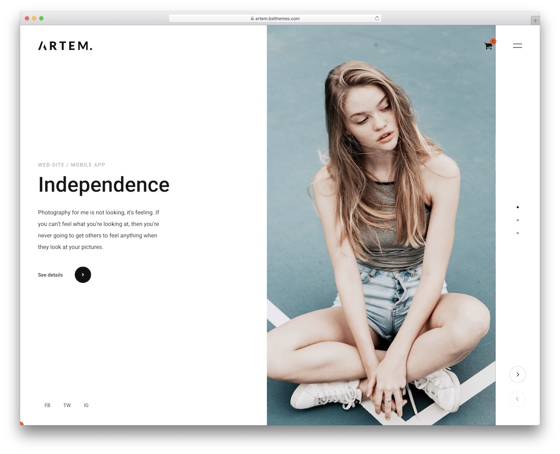 tema wordpress sederhana artem