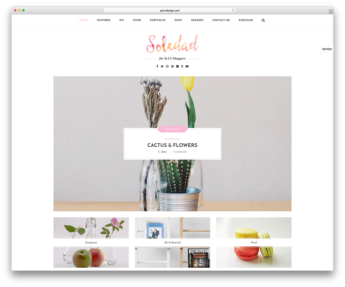 soledad-diy-wordpress-blogging-tema