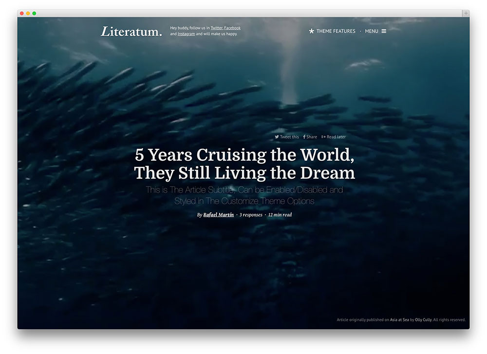 literatum-beautiful-blog-tema
