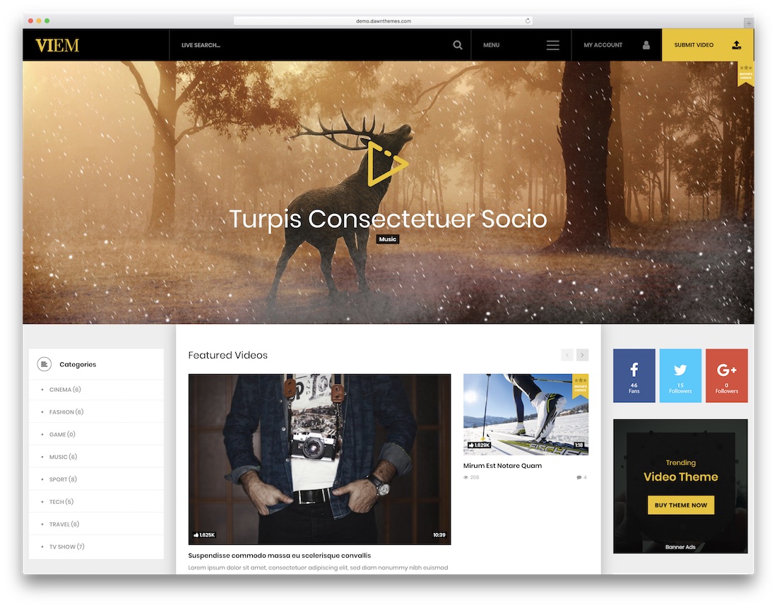 thème wordpress de partage de contenu viem