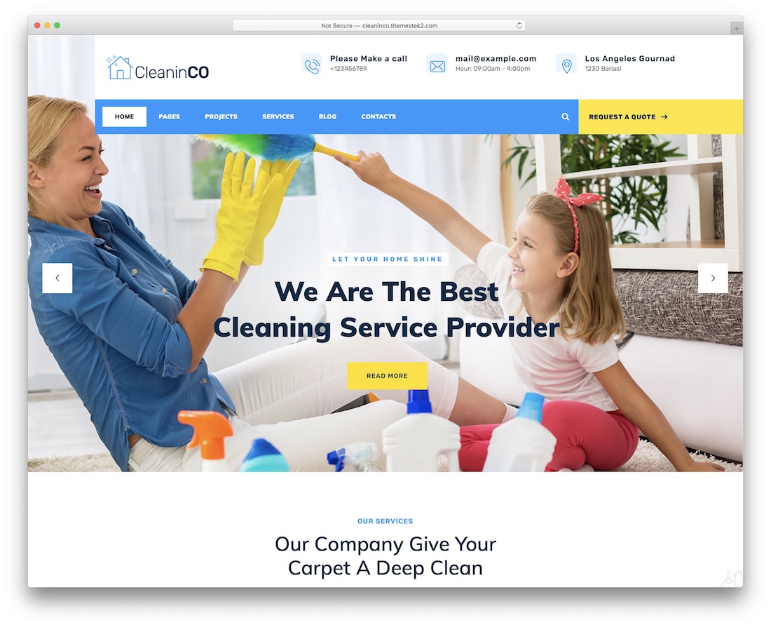 tema wordpress cleaninco