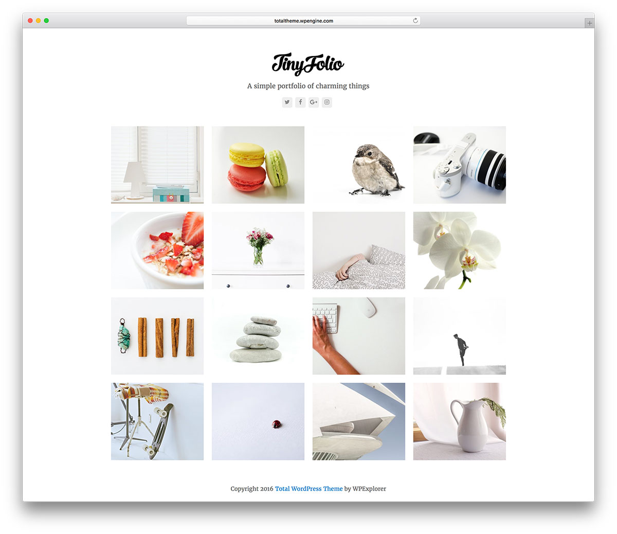 total-clean-wordpress-portfolio-theme