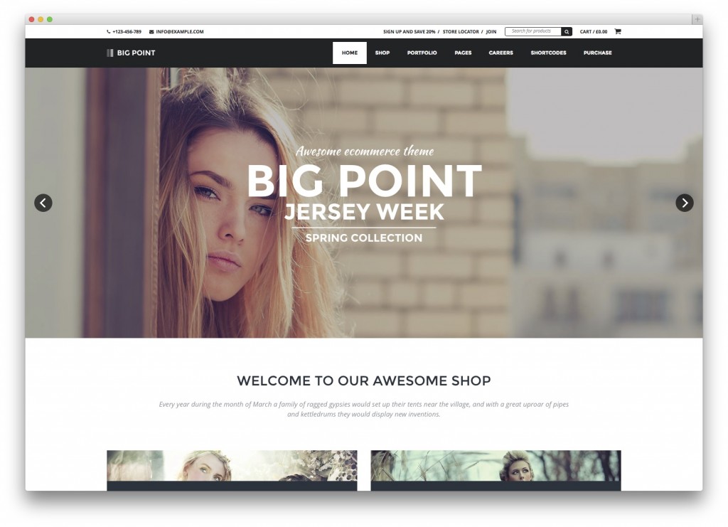 tema WordPress poin besar
