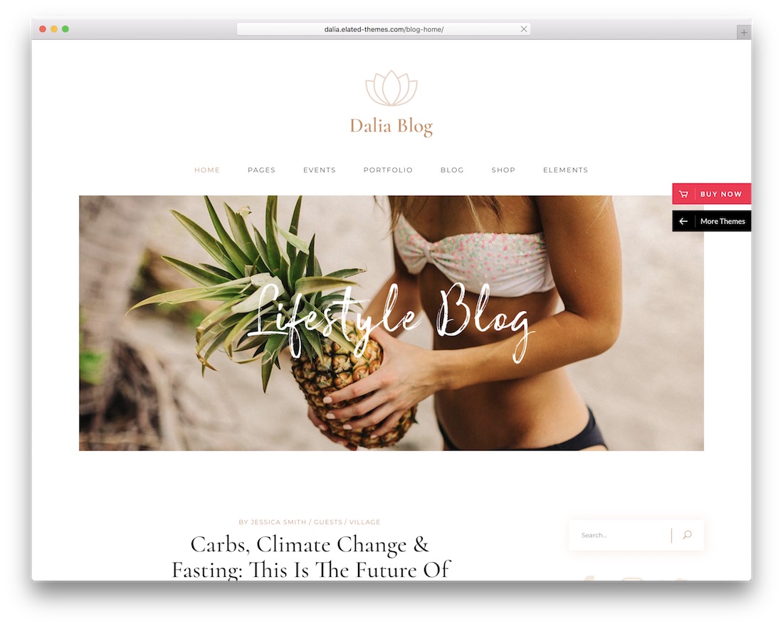 tema wordpress gaya hidup dalia