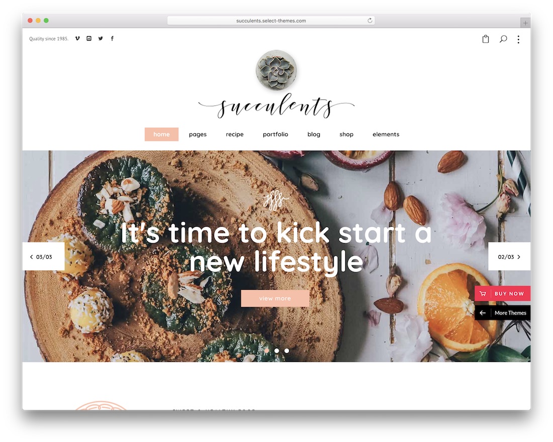 tema wordpress gaya hidup sukulen
