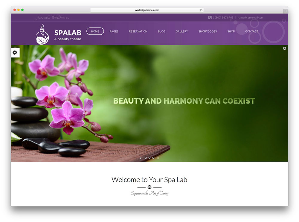 lab spa - tema salon kecantikan feminin