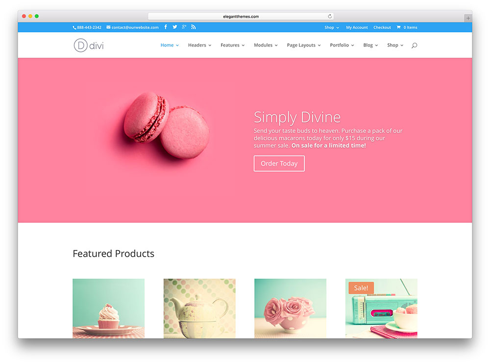 divi - tema bisnis feminin