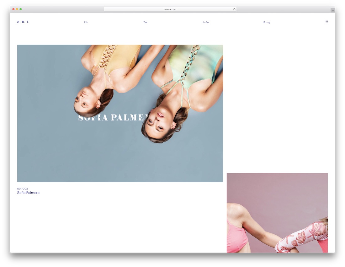 tema wordpress fotografi seni
