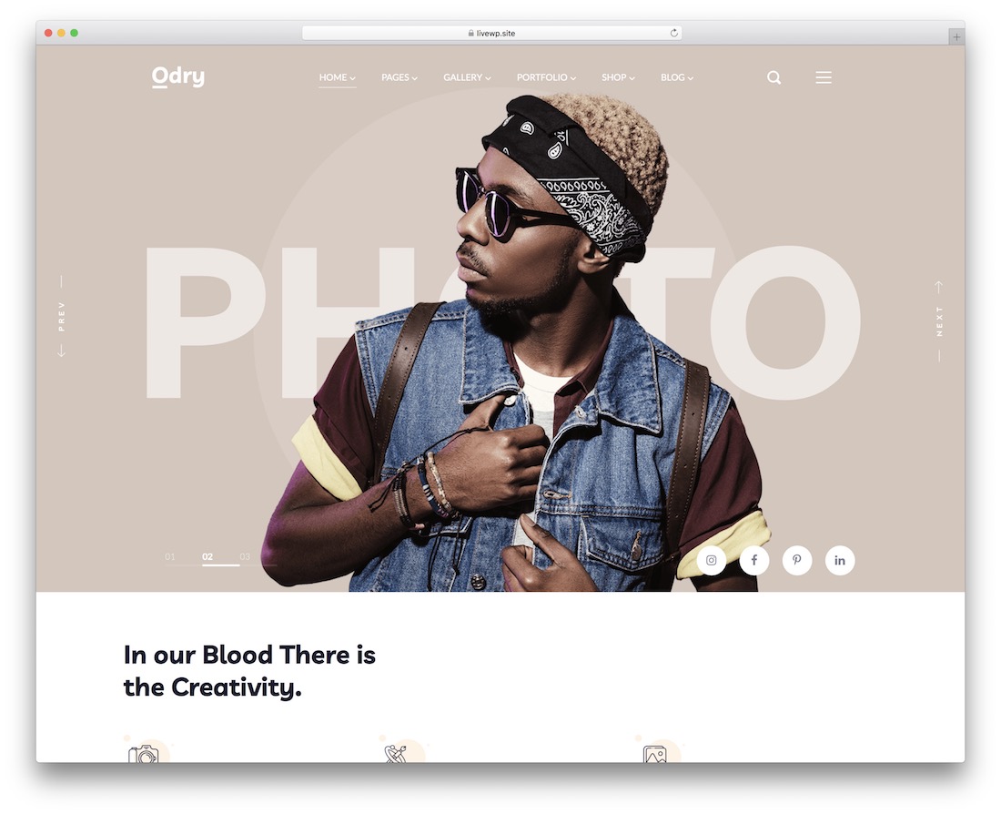 tema wordpress fotografi odry