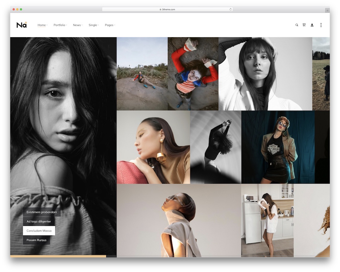 lalu fotografi tema wordpress