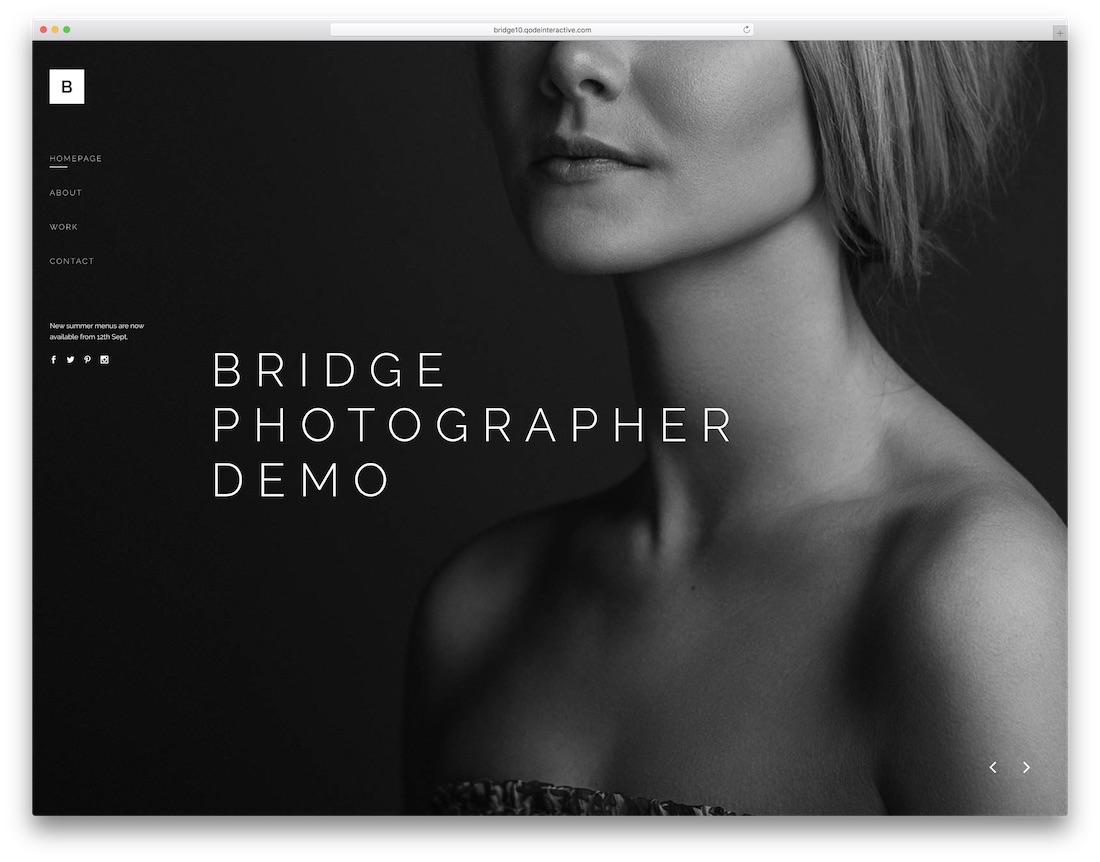 jembatan tema wordpress untuk fotografer