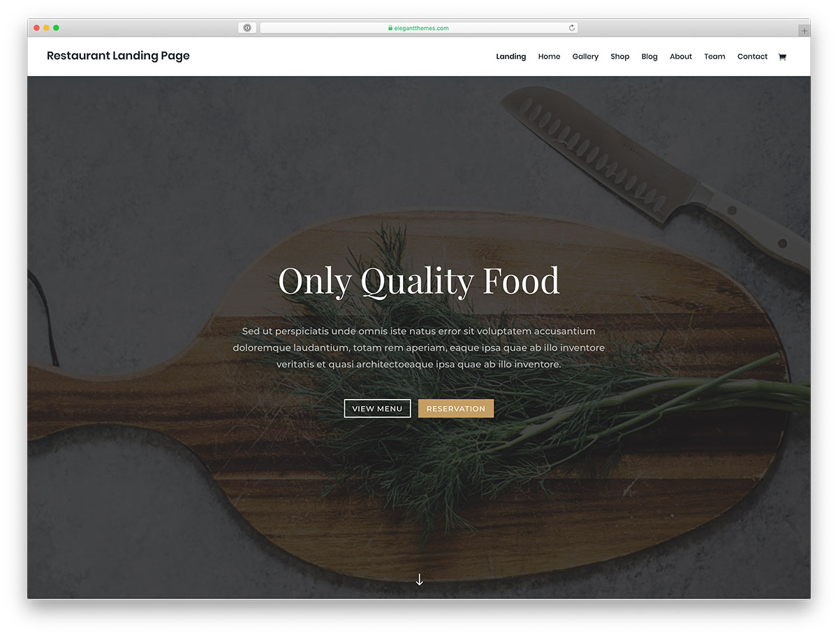 tema WordPress restoran