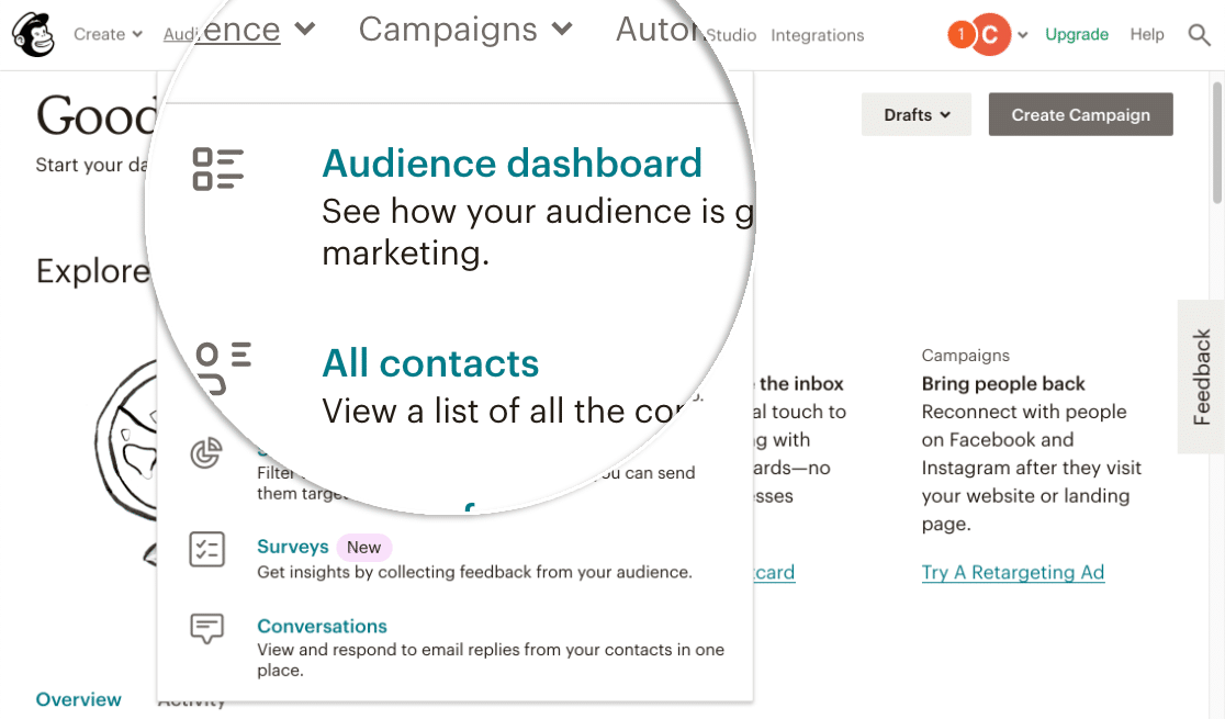 Mailchimp Audience Dashboard สำหรับแท็กที่กำหนดเอง