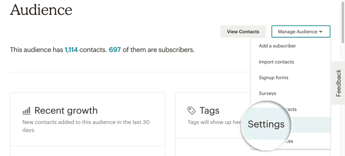 การตั้งค่ากลุ่มเป้าหมายใน Mailchimp