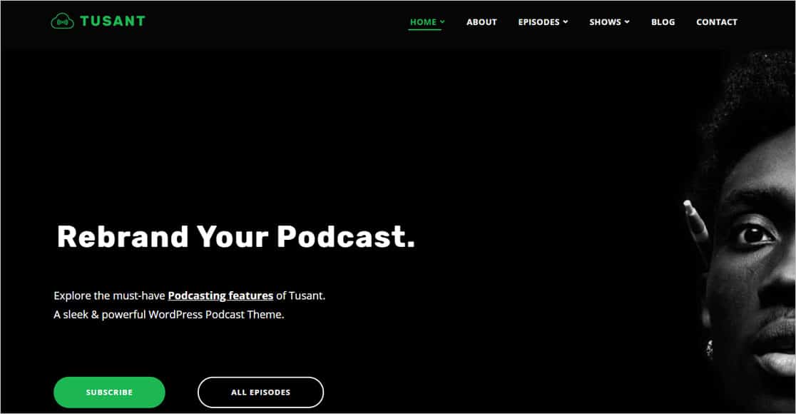 Tusant 是目前最好的響應式 wordpress 主題之一