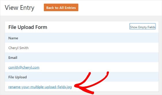 Datei-Upload-Eintrag im WordPress-Upload-Widget von wpforms anzeigen
