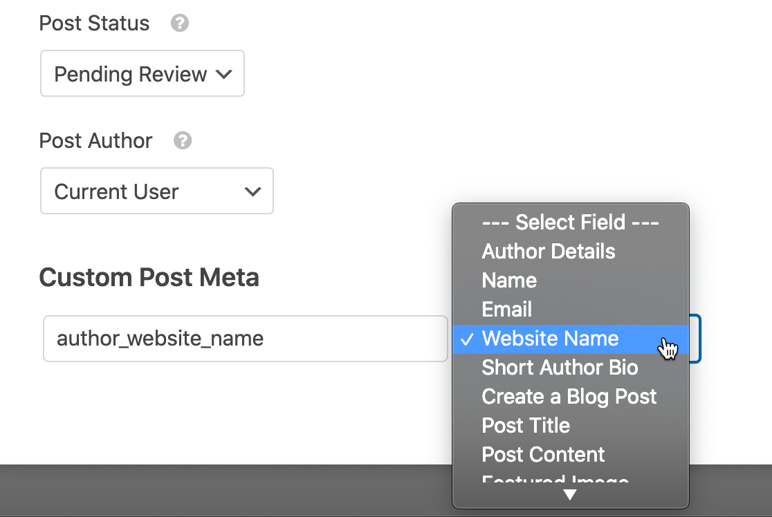 Imposta un campo personalizzato nel modulo del guest post