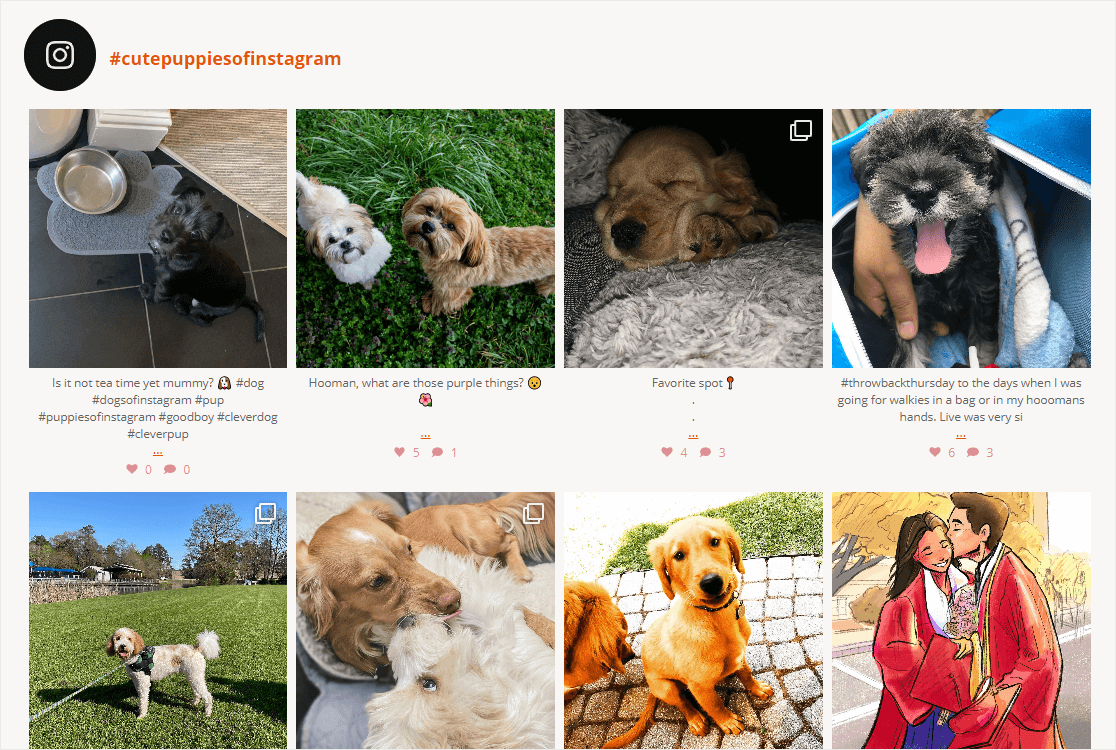 Smash Balloon Instagram-Feed für benutzergenerierte Inhalte