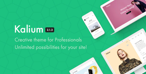 LMS-WordPress-tema-Kalium