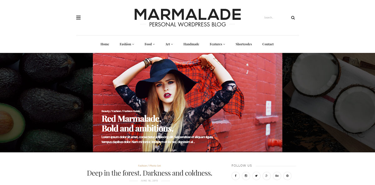 best personal blog wordpress themes