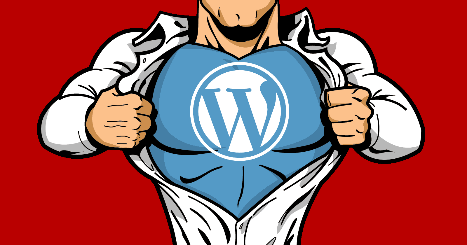 wordpress blog için eklentiler