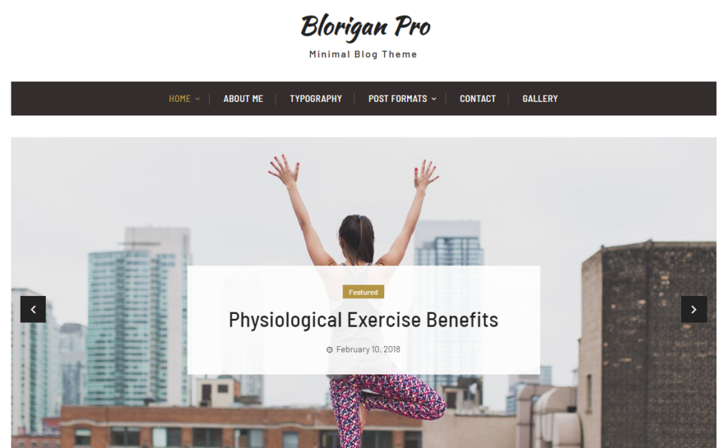 Tema WordPress di Blorigan Pro
