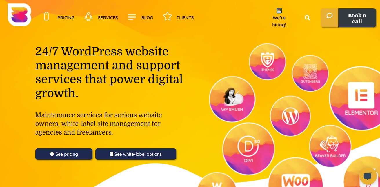 layanan pemeliharaan wordpress wpbuff