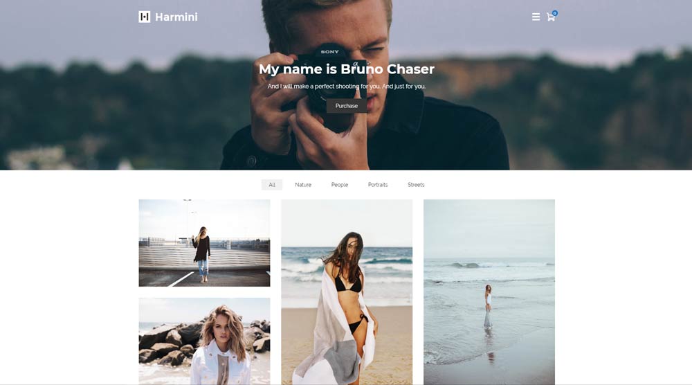 gallery-wordpress-theme