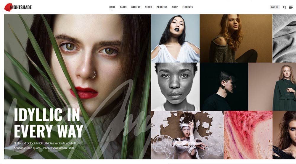 wordpress-gallery-theme