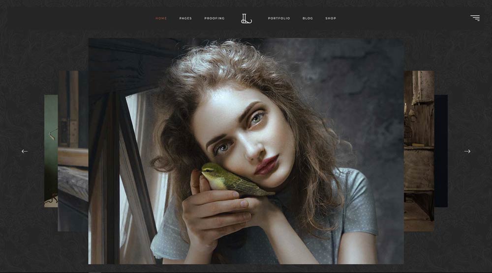 photo-gallery-theme