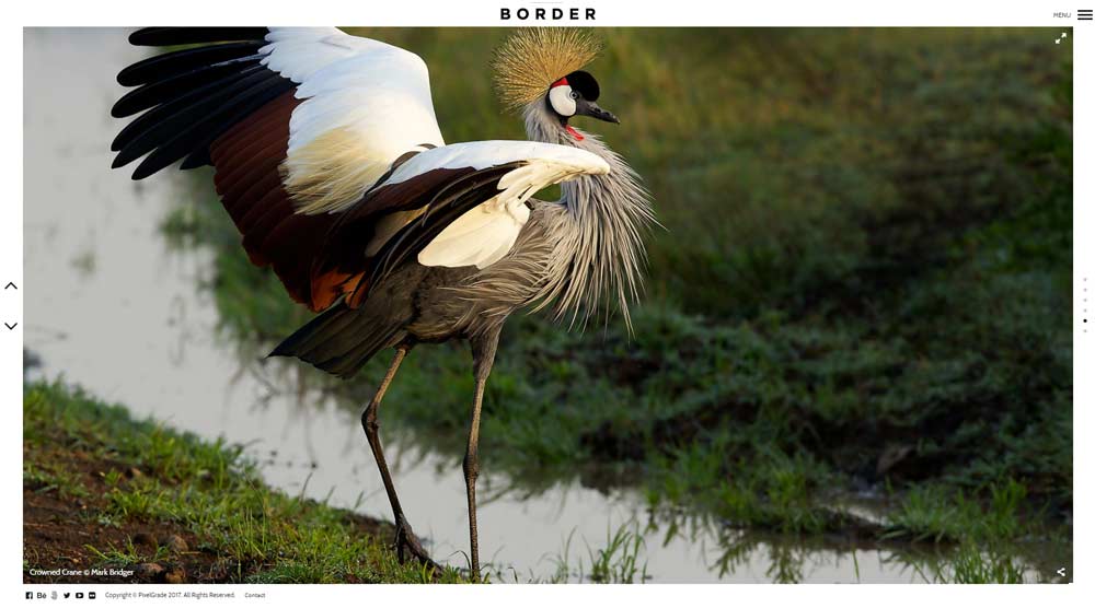 photography-wordpress