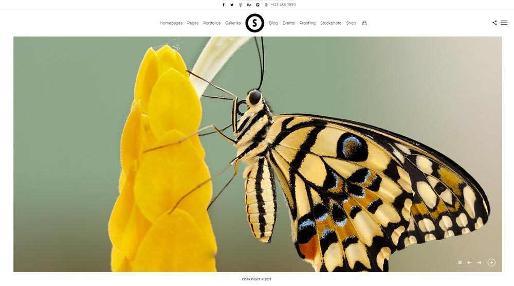 portfolio -theme